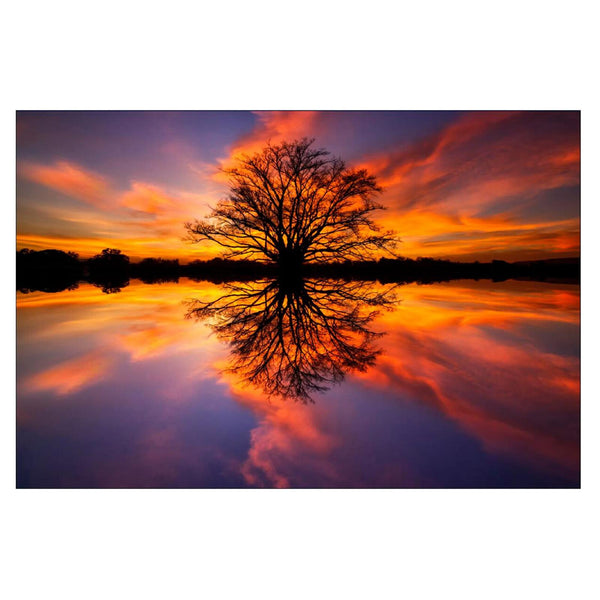 Yosemite Home Décor Home Decor Wall Art AR30313827 IMAGE 1