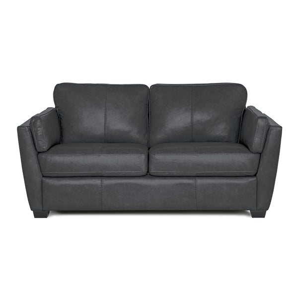 Palliser Burnam Stationary Leather Loveseat Burnam 77889-03 Loveseat - Thunder IMAGE 1