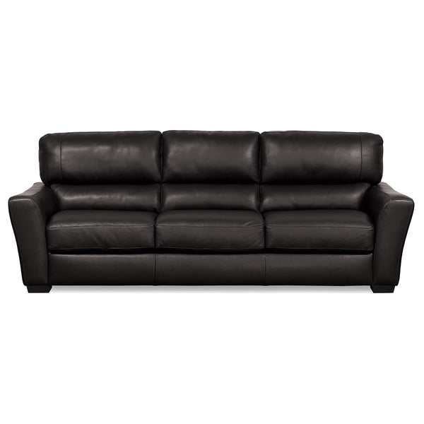 Palliser Teague Stationary Sofa 77888-01-GRADE300-RAVEN IMAGE 1