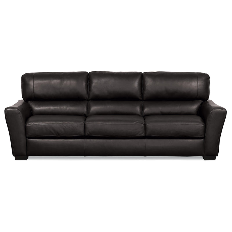 Palliser Teague Stationary Sofa 77888-01-GRADE300-RAVEN IMAGE 1