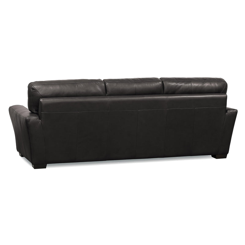 Palliser Teague Stationary Sofa 77888-01-GRADE300-RAVEN IMAGE 4